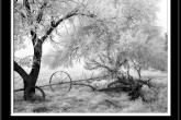 aa_f_fog_old_house_022bw_11_14f.jpg